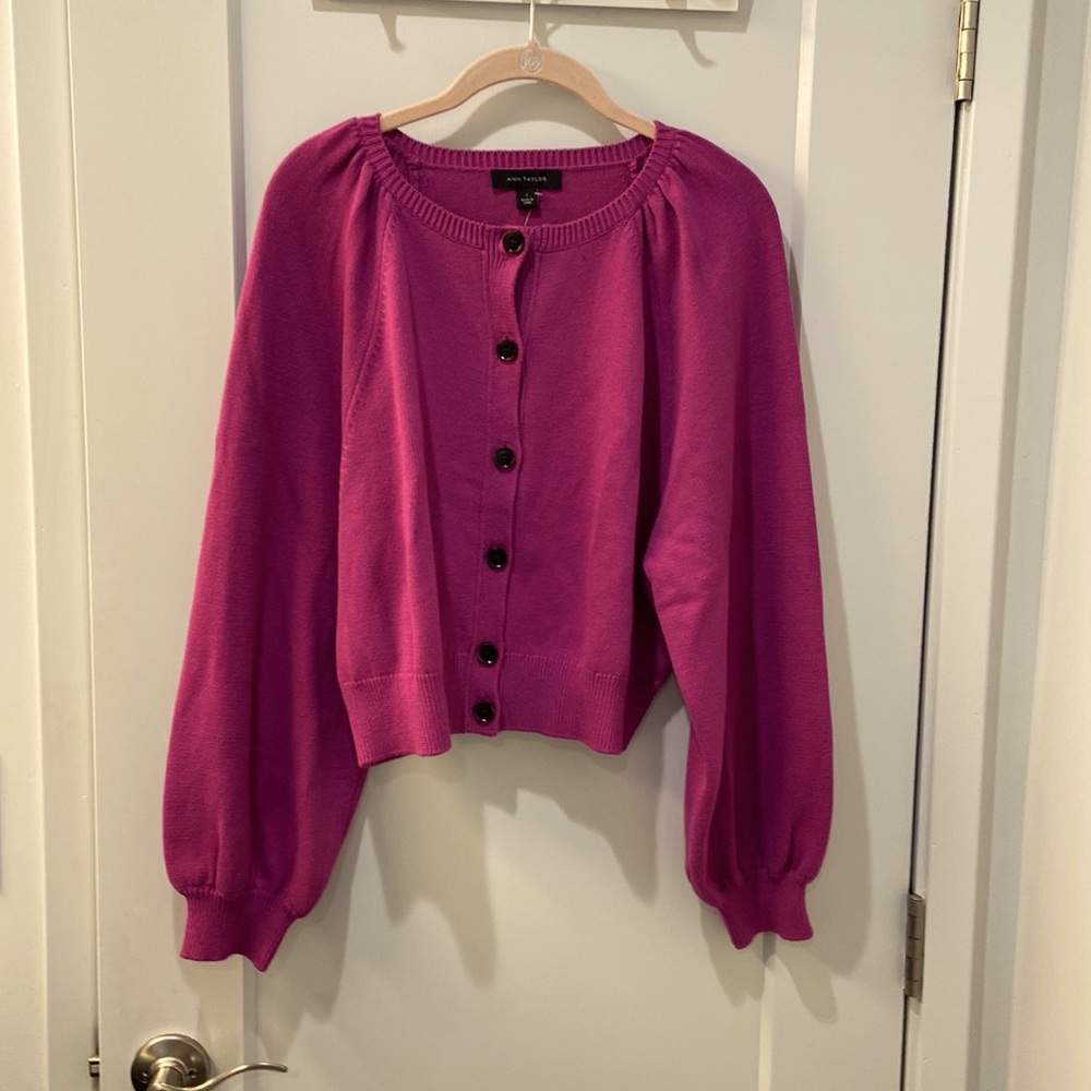 Ann Taylor sweater